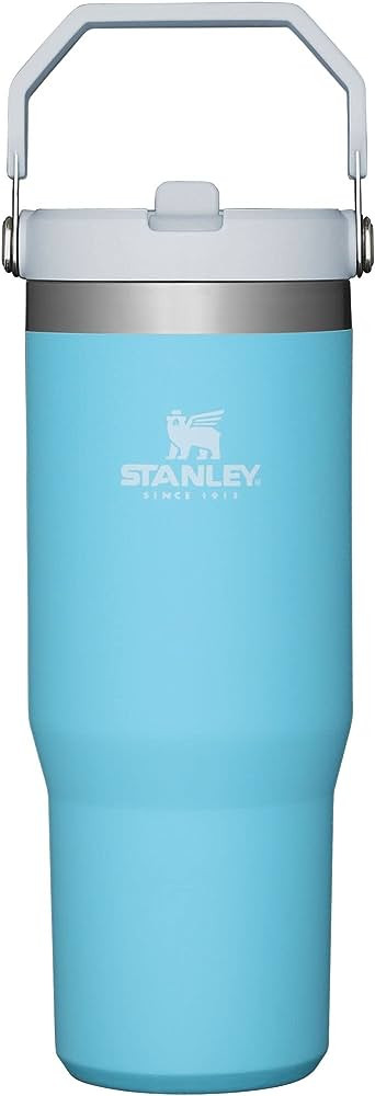 STANLEY IceFlow Stainless Steel Tumbler with Straw, Vacuum Insulated Water Bottle for Home, Offic... | Amazon (US)