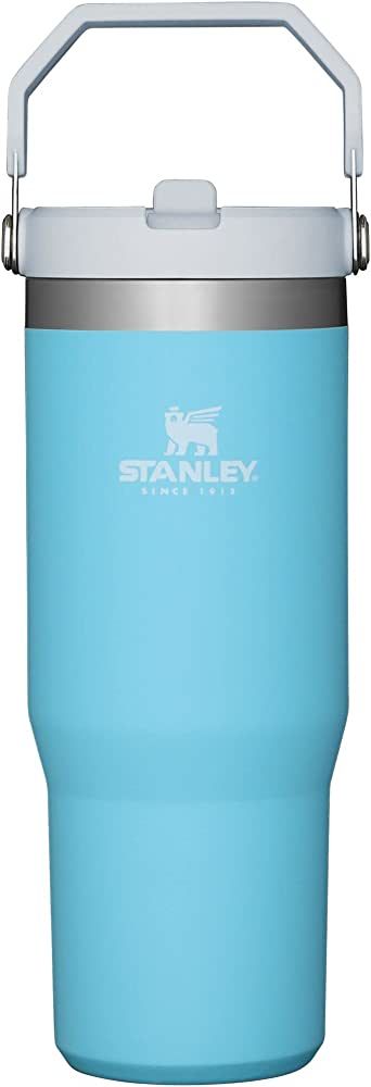Amazon.com: Stanley IceFlow Stainless Steel Tumbler with Straw - Vacuum Insulated Water Bottle fo... | Amazon (US)
