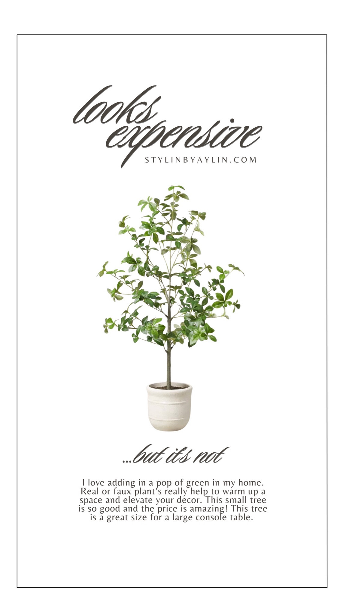 Looks expensive but it’s not ✨
#StylinbyAylin #Aylin 

#LTKFindsUnder50 #LTKStyleTip #LTKHome