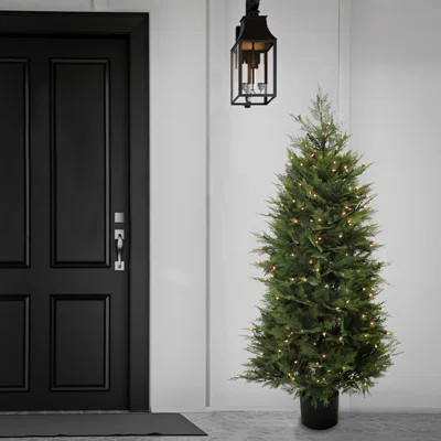 5 ft Prelit Artificial Cypress Tree with 300 Clear Lights, Realistic Fake Tree Potted Plant, Matte Black Nursery Pot | Wayfair North America