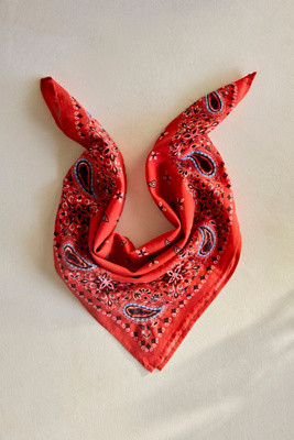 Embroidered Paisley Cotton Bandana | Anthropologie (US)
