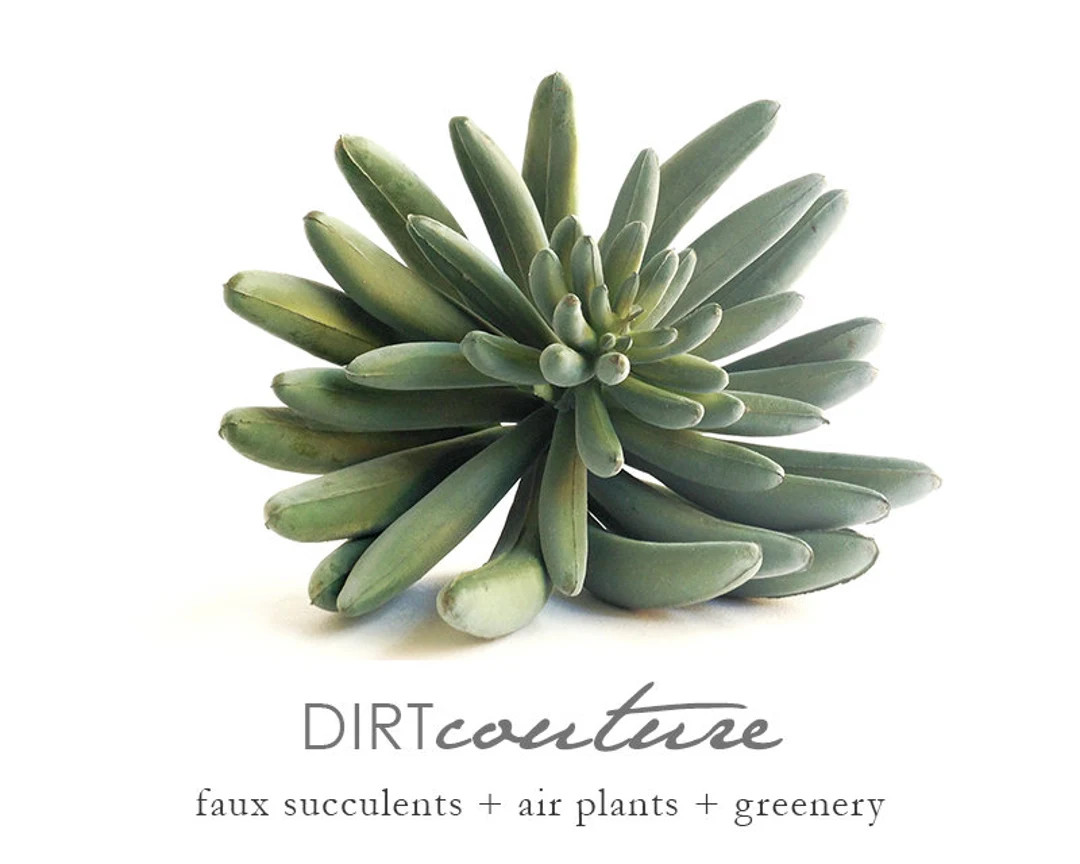 Faux Succulent Plant, Silver Green, 3.5 Inch | Etsy (US)