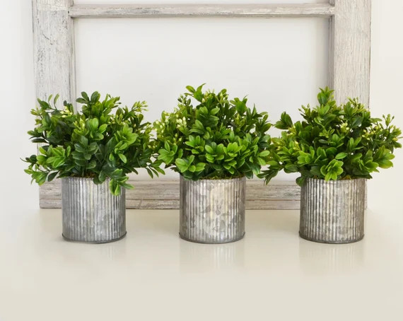 Galvanized Pots of Boxwood |  Farmhouse Centerpiece | Boxwood Centerpiece | Rustic Centerpiece | ... | Etsy (US)
