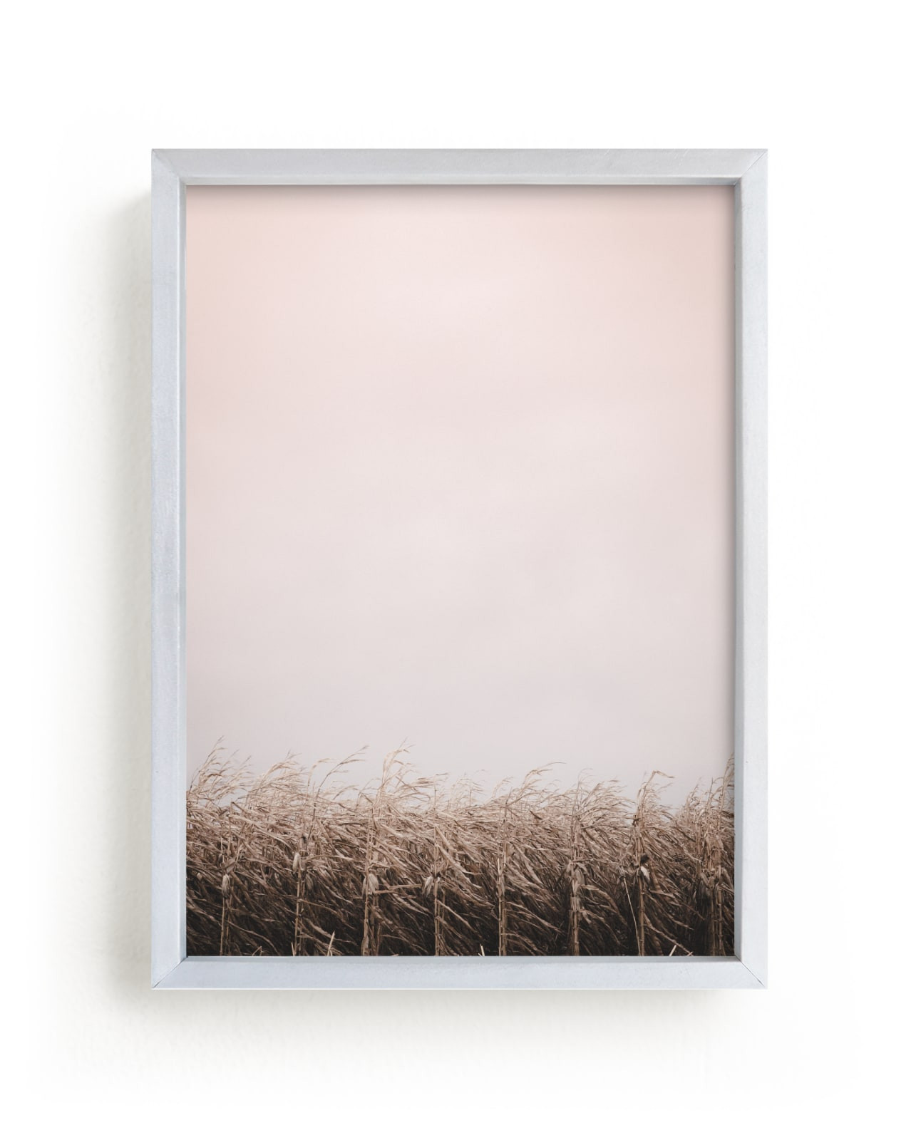 Late Harvest | Minted