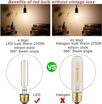 LiteHistory Dimmable E26 LED Bulb 4W Equal 40 Watt Warm White 2700K E26 Edison AC120V 400lm Tubul... | Amazon (US)
