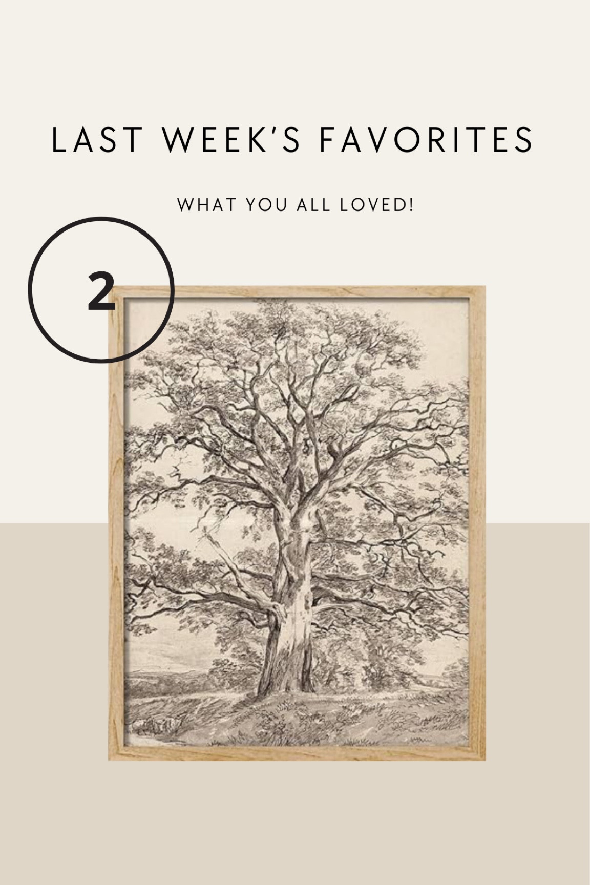 Vintage inspired tree sketch prints. These come in a set of 4 and are gorgeous in person. Perfect wall art for a bathroom or small space. 

#LTKHome #LTKStyleTip #LTKFindsUnder50