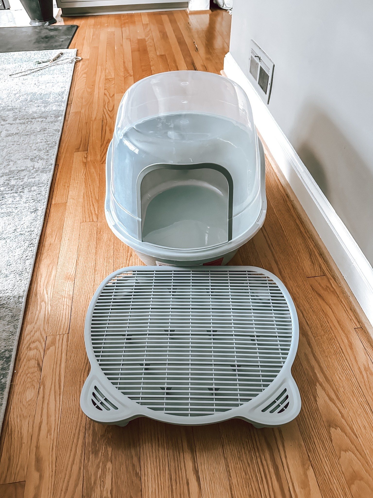 Big boy 🐈‍⬛ just got a new litter box 

#LTKHome #LTKmomlife #LTKOver40