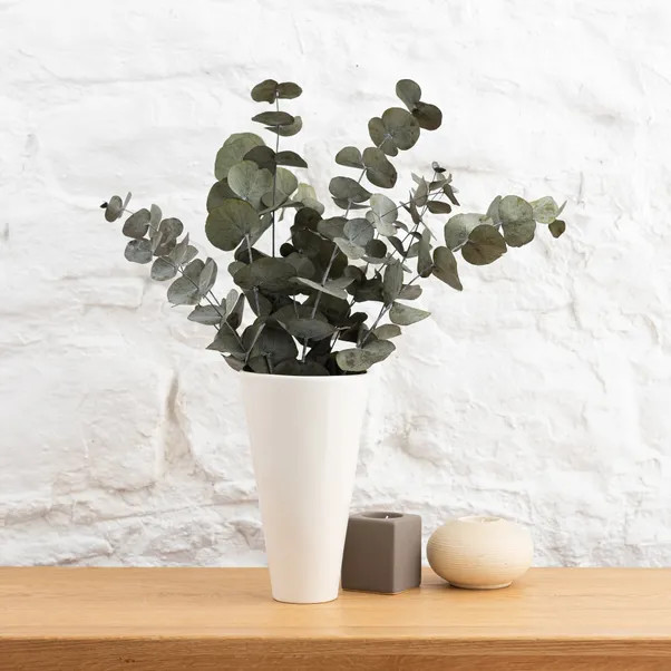 Dried Eucalyptus Syneria Bouquet | Dunelm (migrated)