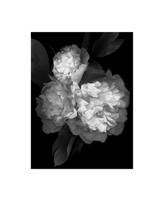 Trademark Global Susan S. Barmon 'Peony 3 Black And White' Canvas Art - 35 | Macys (US)