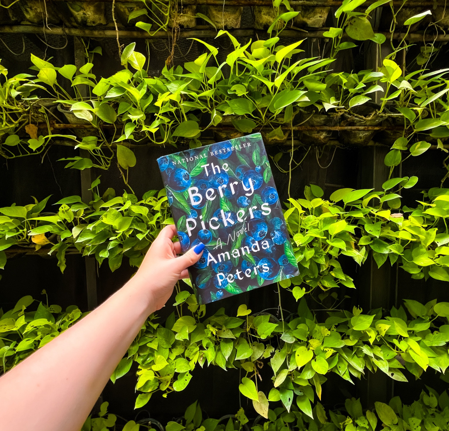 July 1962. A Mi’kmaq family from Nova Scotia arrives in Maine to pick blueberries for the summer. Weeks later, four-year-old Ruthie, the family’s youngest child, vanishes. She is last seen by her six-year-old brother, Joe, sitting on a favorite rock at the edge of a berry field. Joe will remain distraught by his sister’s disappearance for years to come.

In Maine, a young girl named Norma grows up as the only child of an affluent family. Her father is emotionally distant, her mother frustratingly overprotective. Norma is often troubled by recurring dreams and visions that seem more like memories than imagination. As she grows older, Norma slowly comes to realize there is something her parents aren’t telling her. Unwilling to abandon her intuition, she will spend decades trying to uncover this family secret.

#LTKFindsUnder50 #LTKSeasonal #LTKFamily
