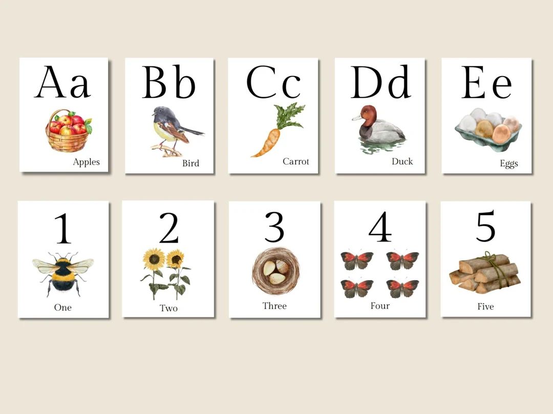 BUNDLE Nature Alphabet Flashcards / Number Flashcards/ - Etsy | Etsy (US)