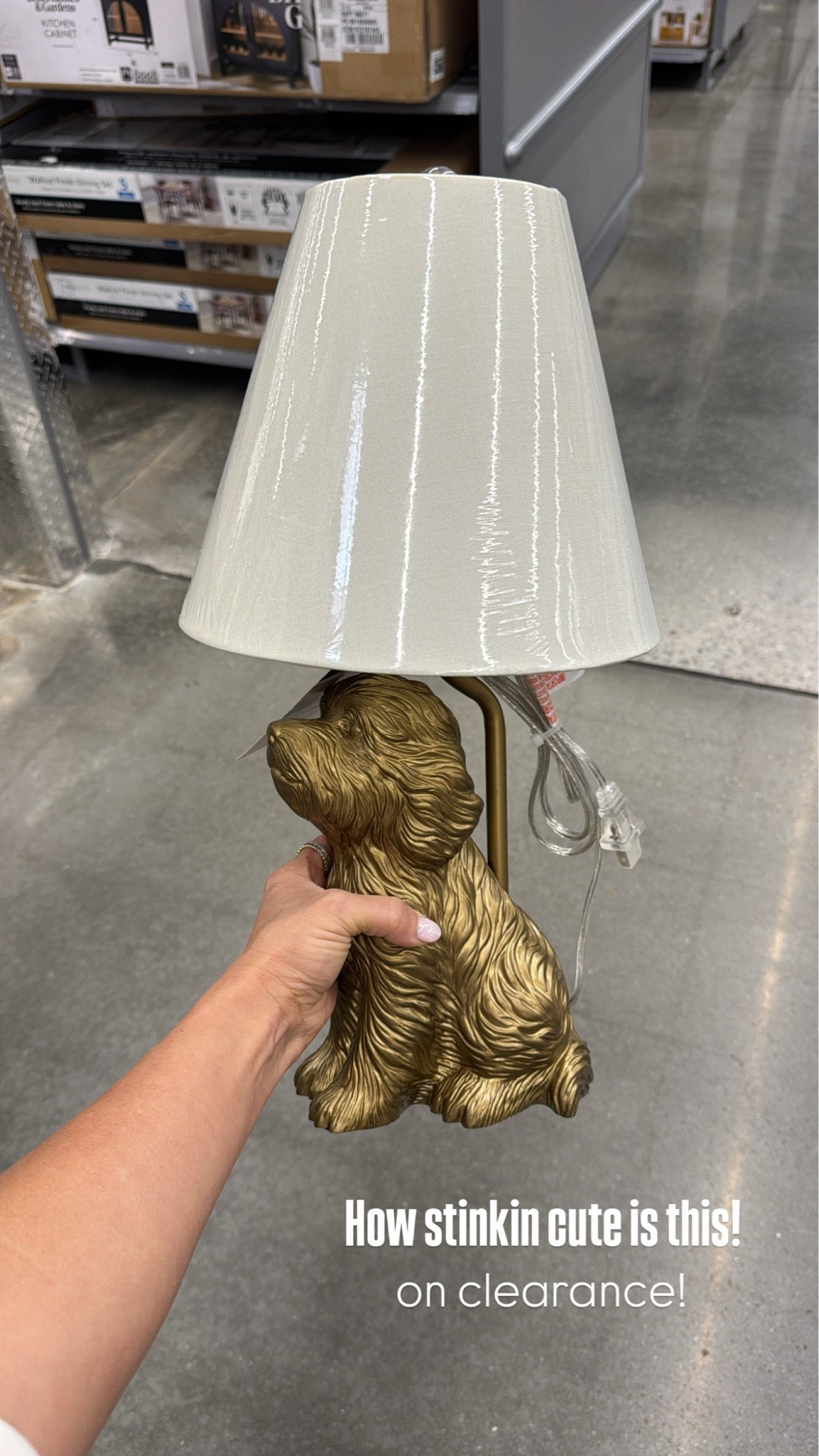 Walmart Deal! I couldn’t leave this adorable dog lamp behind! 🤎 It’s on clearance and would be the cutest addition to a bedroom, nursery, office, or any dog lover’s home. One of those unique finds that looks way more expensive than it is! #WalmartDeals #WalmartHome #WalmartFinds #HomeDecor #ClearanceFind #DogLover #AffordableHomeDecor

#LTKHome