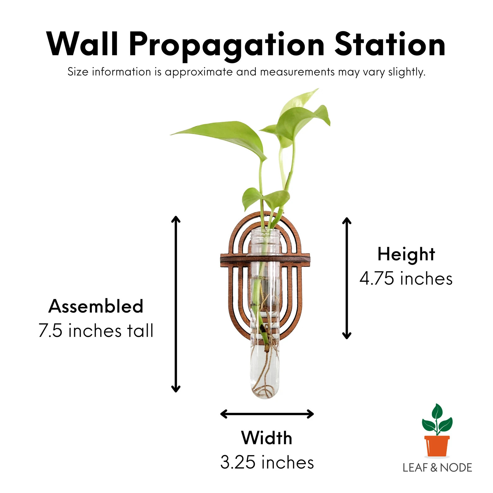 Wall Propagation Station - Boho Rainbow Design - Hydroponic Test Tube Holder for Propagating Plan... | Etsy (US)