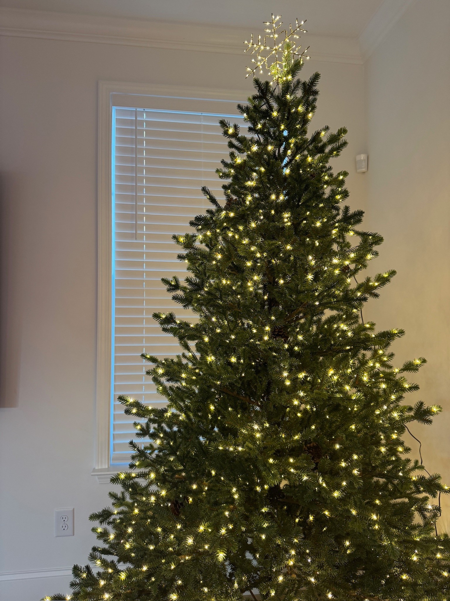 My Christmas tree! 

#LTKHome #LTKHoliday