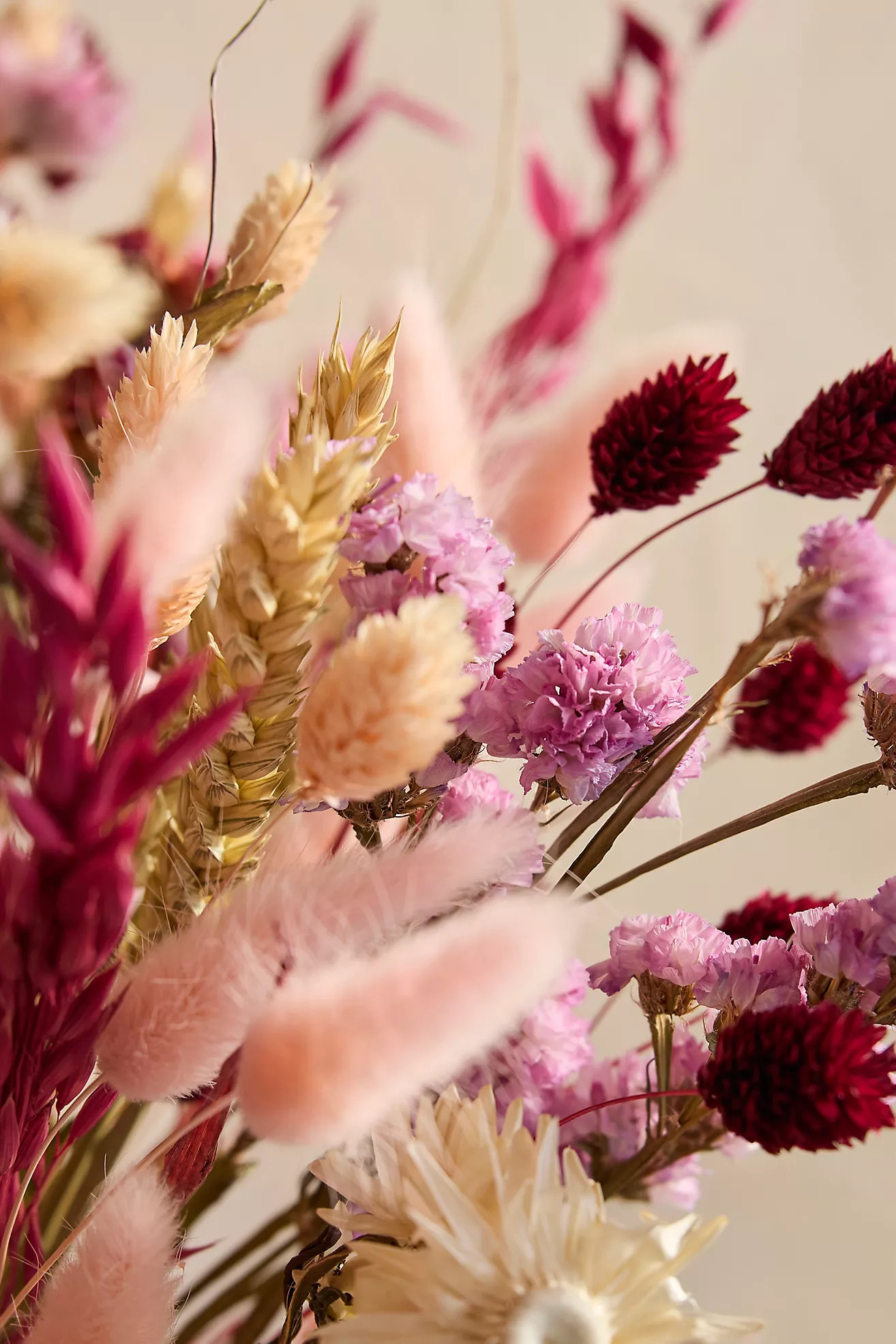 Dutch Field Mix Dried Bouquet, Sweetheart | Anthropologie (US)