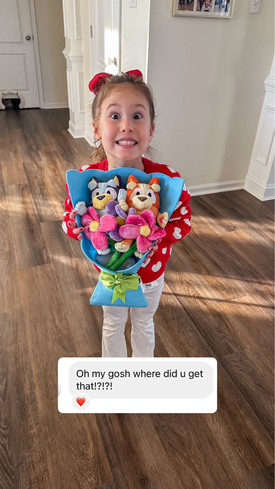 Plush Bluey bouquet for kiddos 💐 

#LTKkids #LTKfamily #LTKSpringSale