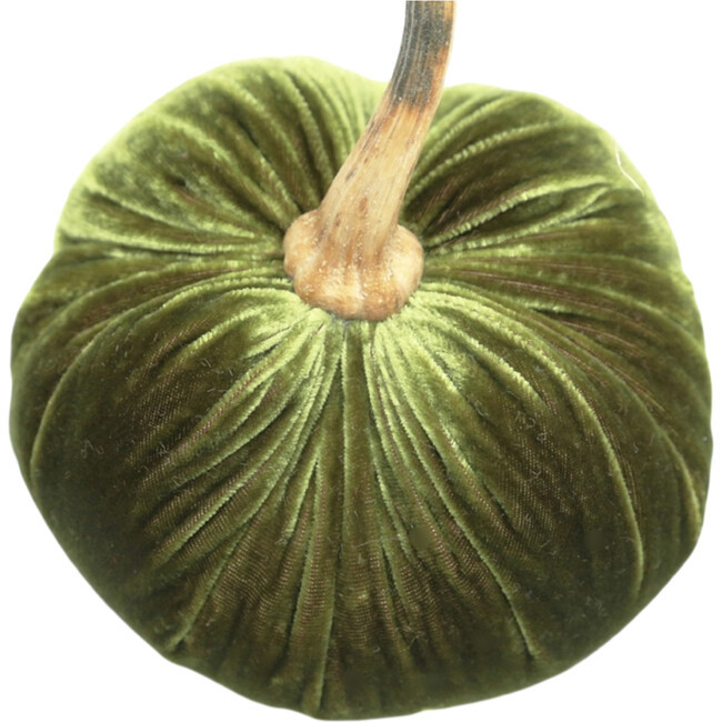 Hot Skwash | Velvet Pumpkin, Cactus | Silk (Green, Size 5"") | Maisonette | Maisonette