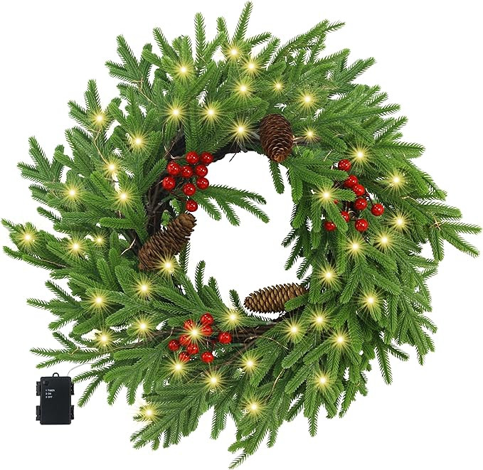 Ogrmar 20 Inch Christmas Wreath for Front Door, Real Touch Norfolk Pine Wreath with Light, Lighte... | Amazon (US)