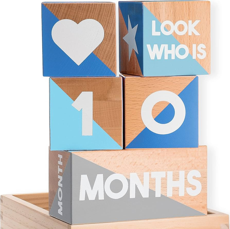 Baby Monthly Milestone Blocks — Cute Nursery Decor — Lovely Newborn Photography Props — Bab... | Amazon (US)