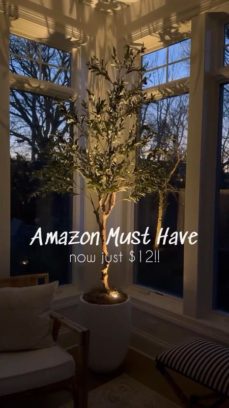 Obsessed with this Amazon home find!! Looks amazing with my favorite faux olive tree that's also from Amazon! The accent light is only $12 and is such a cozy vibe at night!!  ✨
(7/5)

#LTKStyleTip #LTKVideo #LTKHome