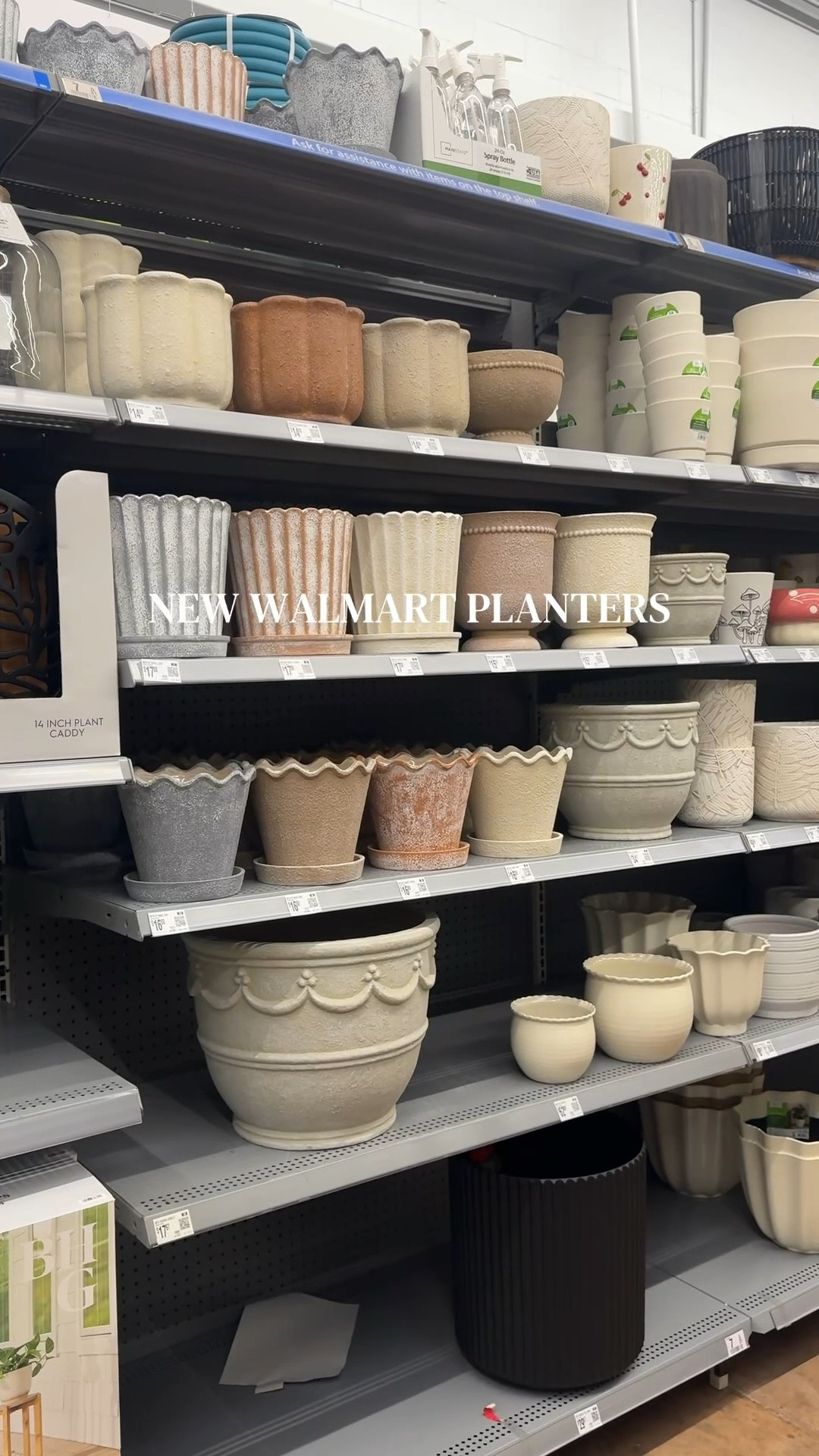 loving all of the new walmart planters, especially the my texas house ones! and they’re all super affordable! 

#LTKHome #LTKSaleAlert #LTKSeasonal