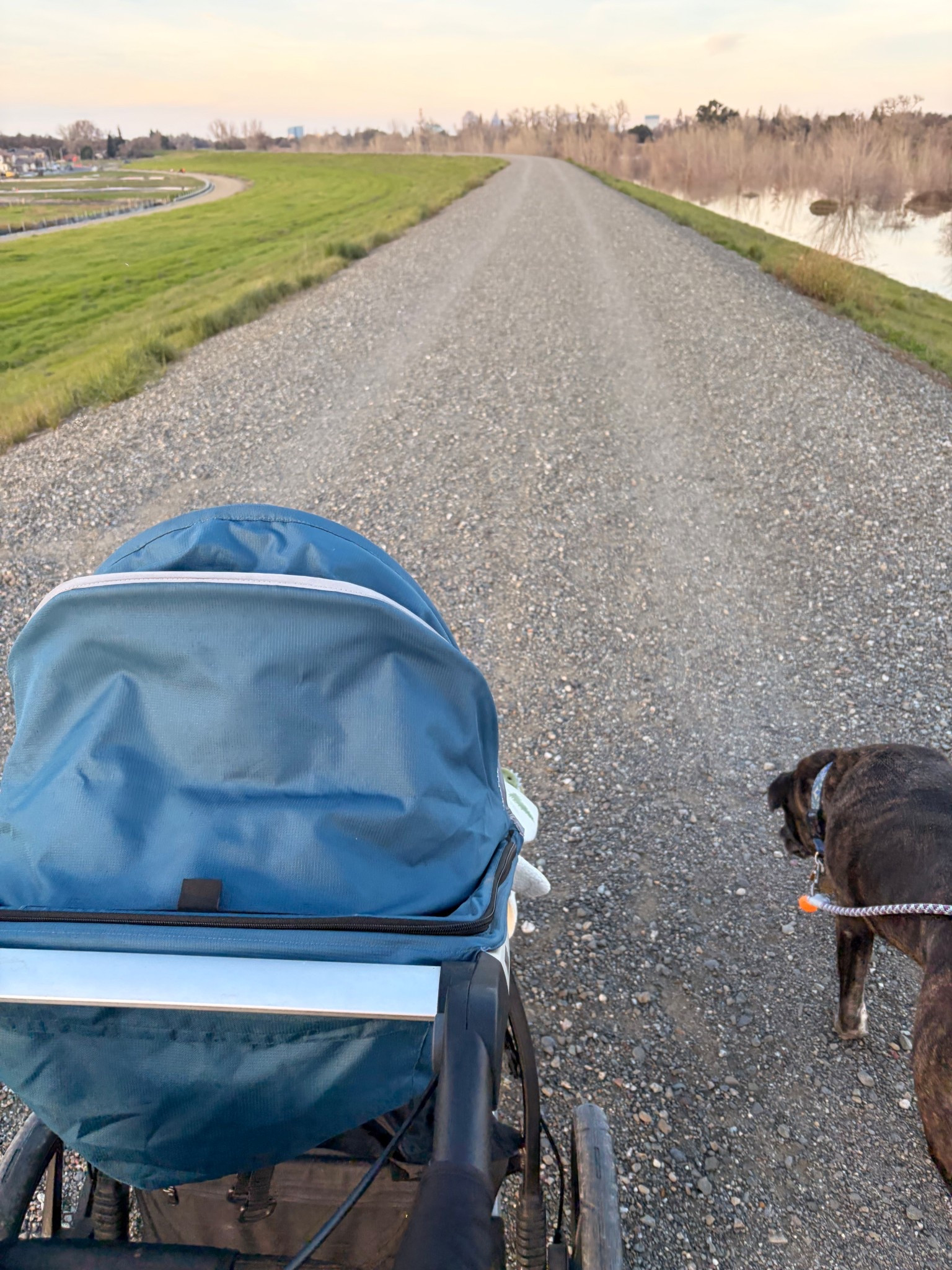 A week and a half into 2026 and the goal to move more is going strong! 

#LTKdayinmylife #LTKfitnessgoals #LTKActive