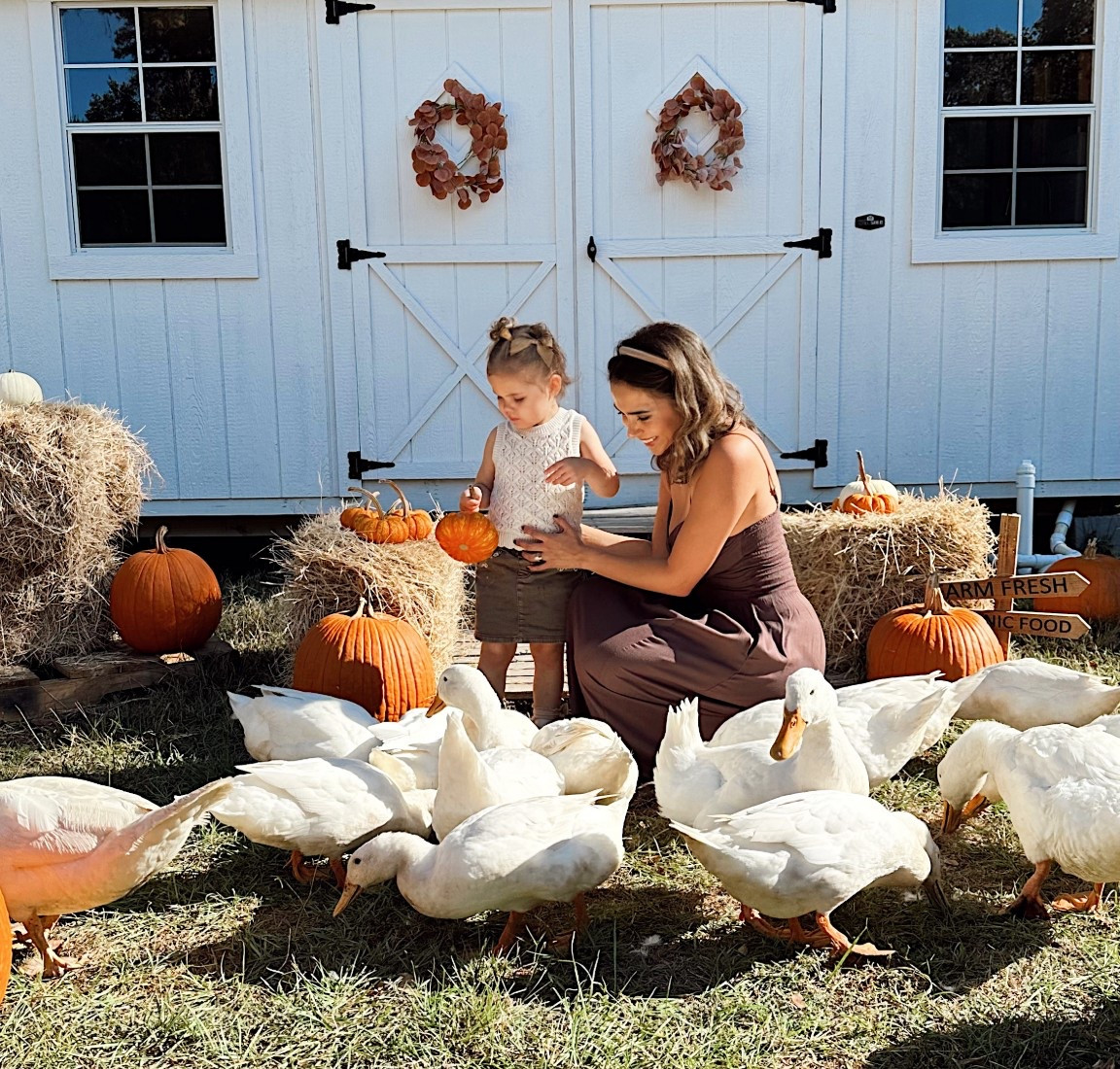 Fall family photos 
Toddler girl fall outfit 
Brown maxi dress 


#LTKFamily #LTKSeasonal #LTKKids