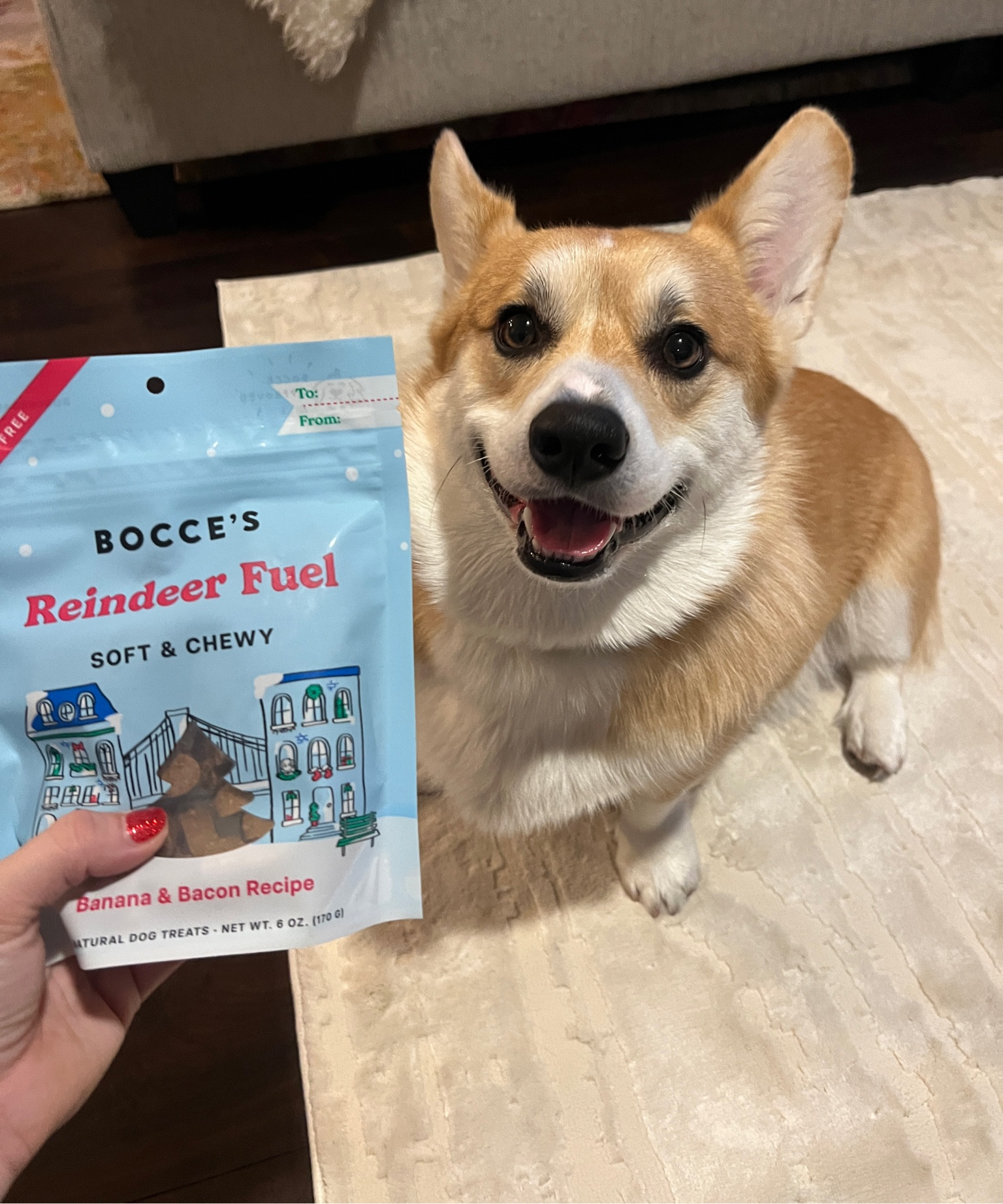 Fueling like a reindeer 🐶❄️ we love these holiday treats from Bocce’s Bakery! 

#LTKGiftGuide #LTKfindsunder50 #LTKSeasonal