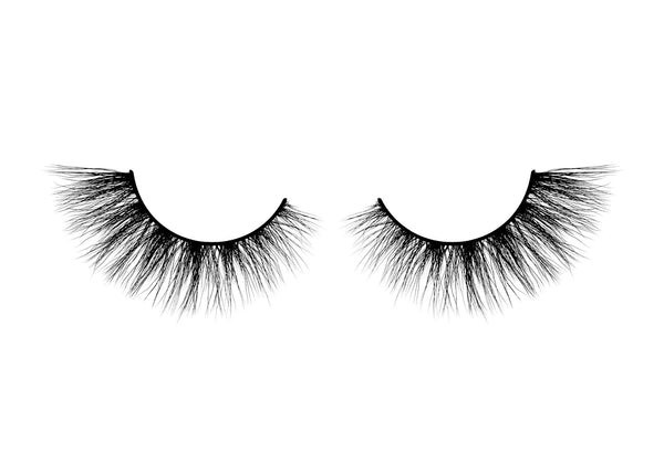 Can't Be Tamed | Velour Beauty