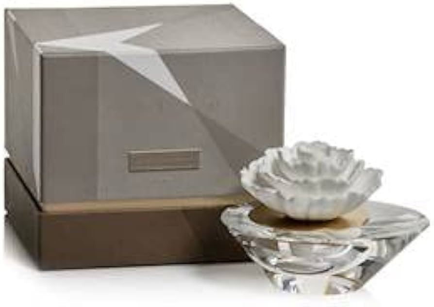 Zodax Moroccan Peony - Dream Mini Porcelain Diffuser | Amazon (US)
