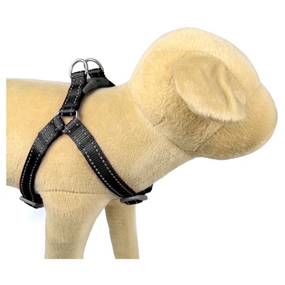 Core Reflective Dog Harness - Boots & Barkley™ | Target
