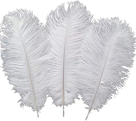 Sowder 10pcs Ostrich Feathers 12-14inch(30-35cm) for Home Wedding Decoration(White) | Amazon (US)
