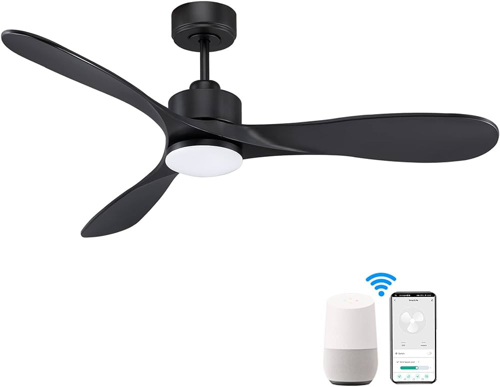 52“ Smart Ceiling Fans with Lights Remote,Quiet DC Motor,Modern Black Outdoor Indoor Ceiling Fa... | Amazon (US)
