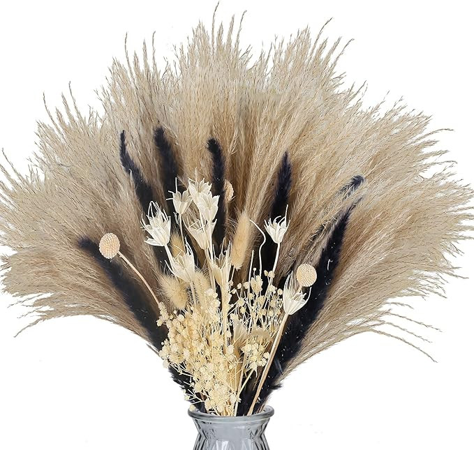 XYXCMOR Dried Pampas Grass 72pcs Black and White Pompous Grass Bunny Tail Dried Flowers Fluffy Re... | Amazon (US)
