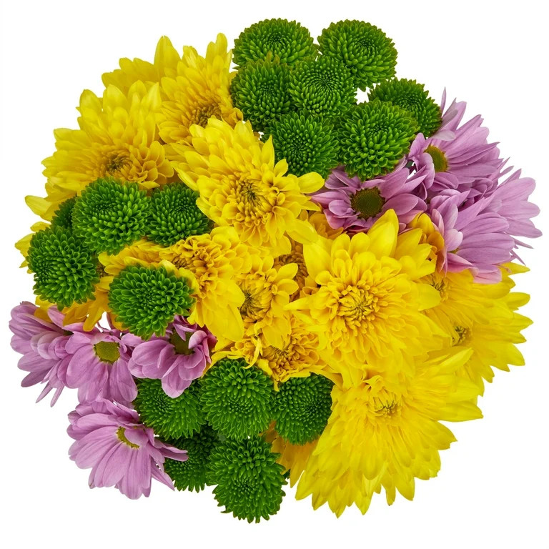 Fresh-Cut Small Rainbow Poms Flower Bunch, Minimum of 7 Stems, Colors Vary | Walmart (US)