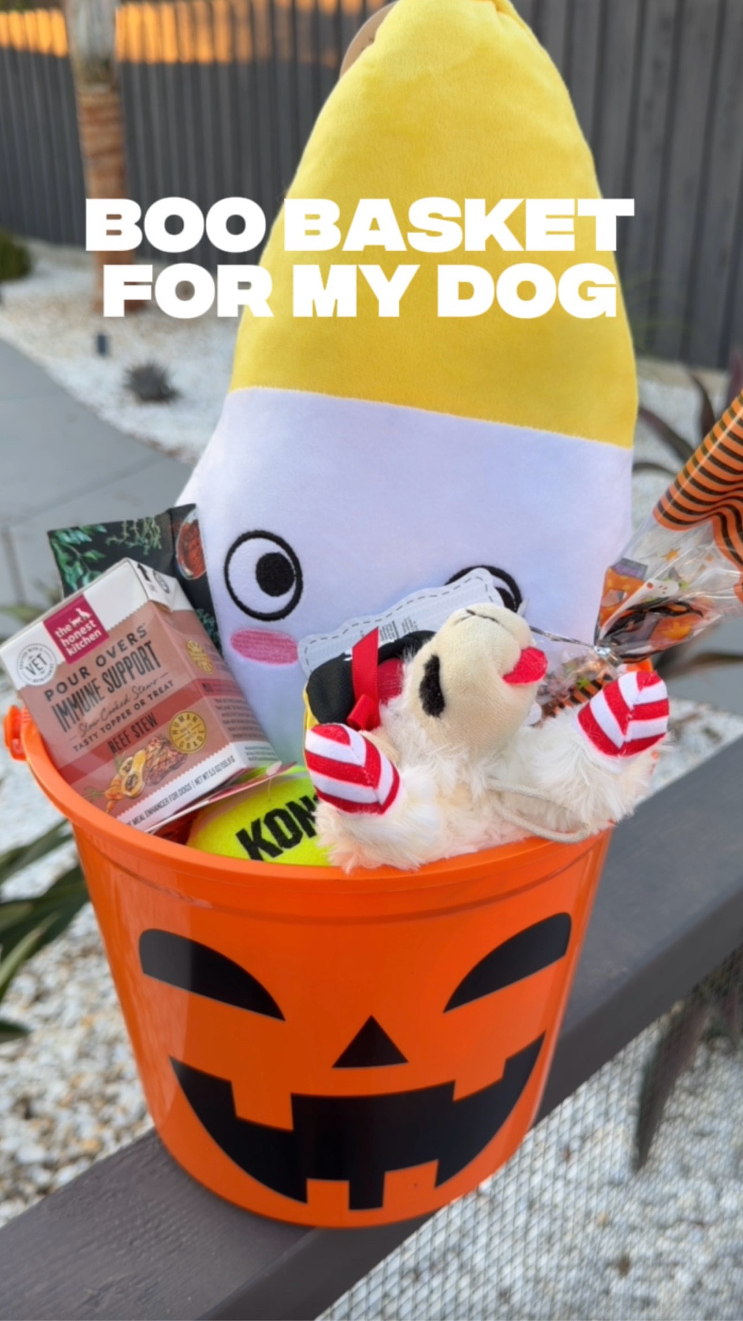 Reminder that your dog needs a boo basket also!! Found all of these goodies at Pet Smart & most were on sale! 

#LTKPets #LTKHalloween #LTKGiftGuide
