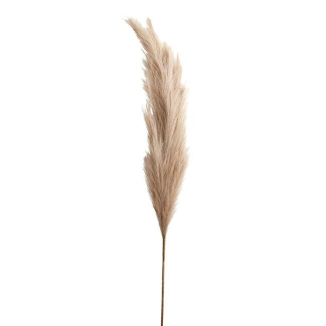 Faux Pampas Grass Stem 68 Inch | World Market