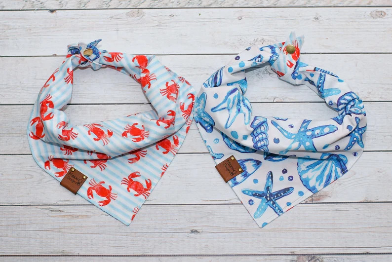 Seashells by the Seashore - Reversible Dog Bandana, Tie and Snap - Etsy | Etsy (US)