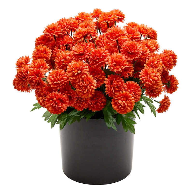 Dark Orange Mum Arrangement, 16" | At Home