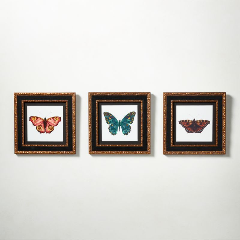 Metamorphosis Modern Framed Wall Art Set of 3 | CB2 | CB2