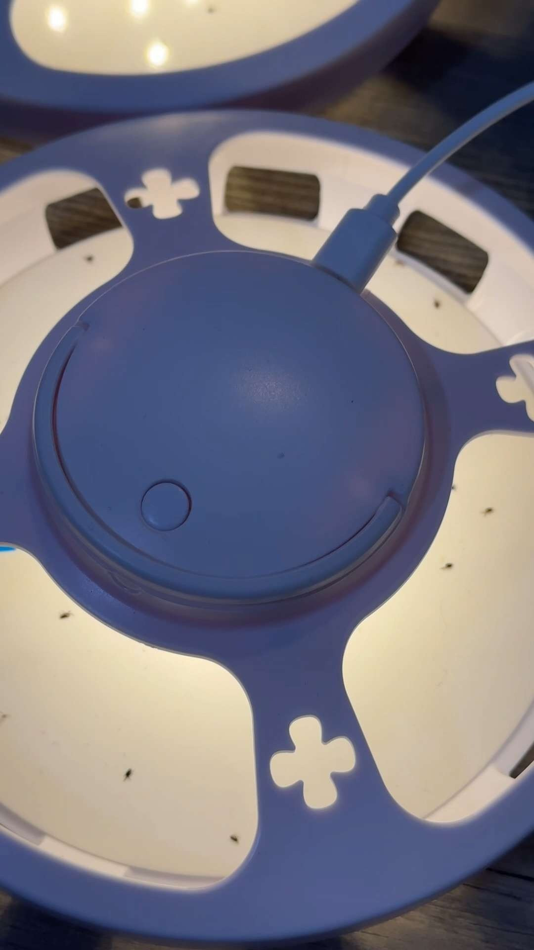 ✨ LOVE THIS!! 🐾💡 These flea traps have totally helped me while dealing with a flea problem at home! The light attracts fleas and other pesky insects, while the sticky pads help trap them without sprays or strong odors. Easy to set up, reusable, and a great addition for keeping an eye on flea activity indoors. 🙌🏡✨

#LTKHome #LTKFinds #LTKDeals #LTKFamily #LTKLifestyle 

 #LTKdayinmylife #LTKHome #LTKSaleAlert