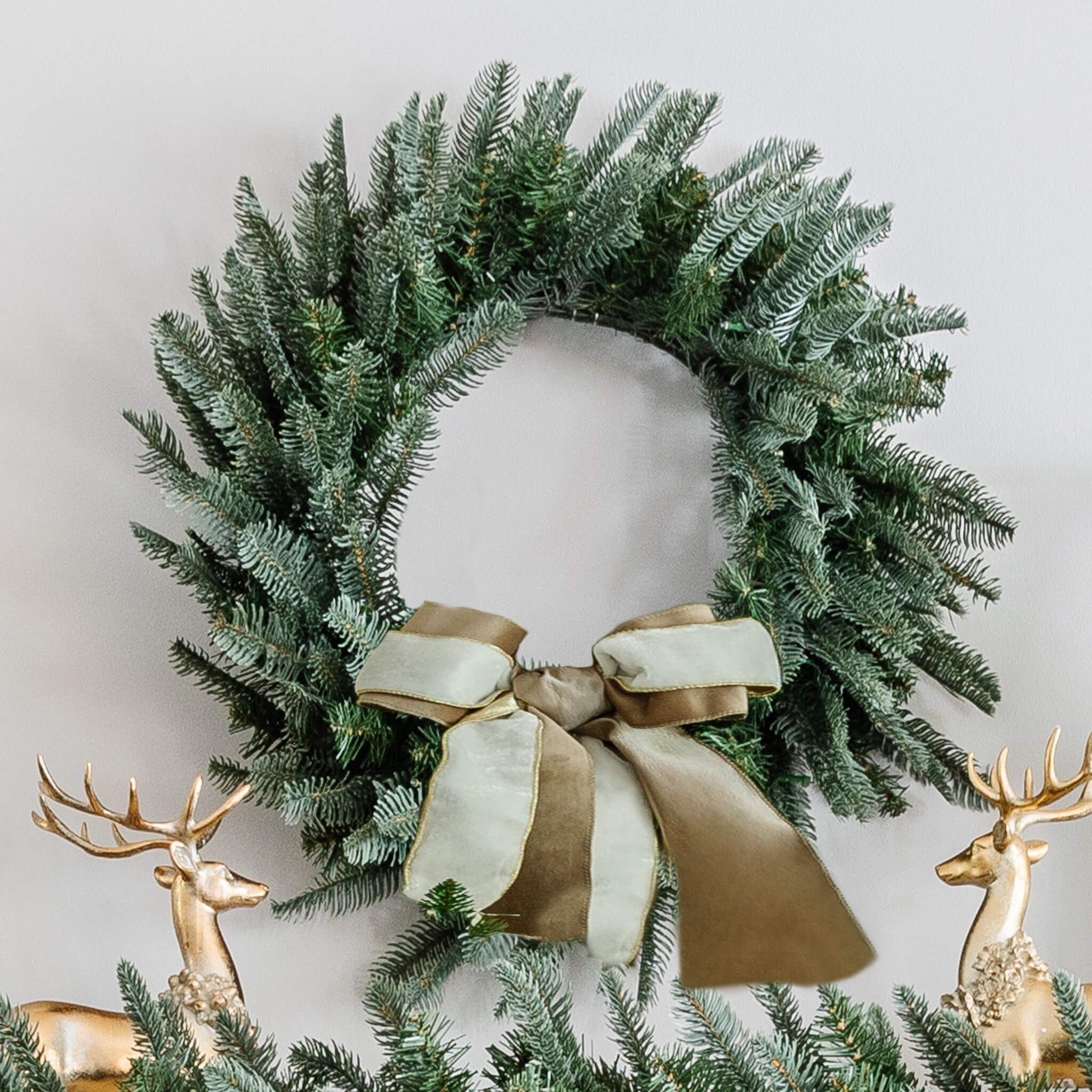 24" King Noble Fir Wreath with Warm White LED Lights (Battery Operated | King of Christmas