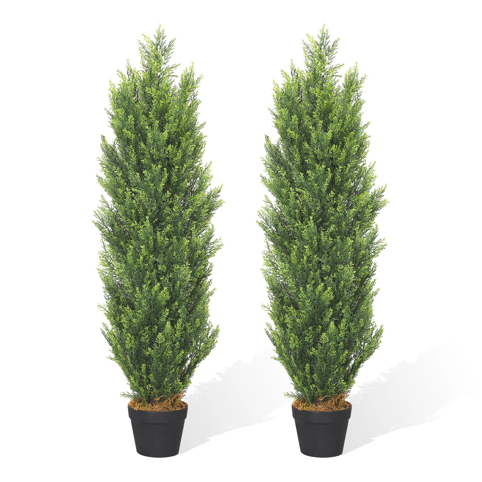 Faux Cedar Plant in Pot (Set of 2) | Wayfair North America