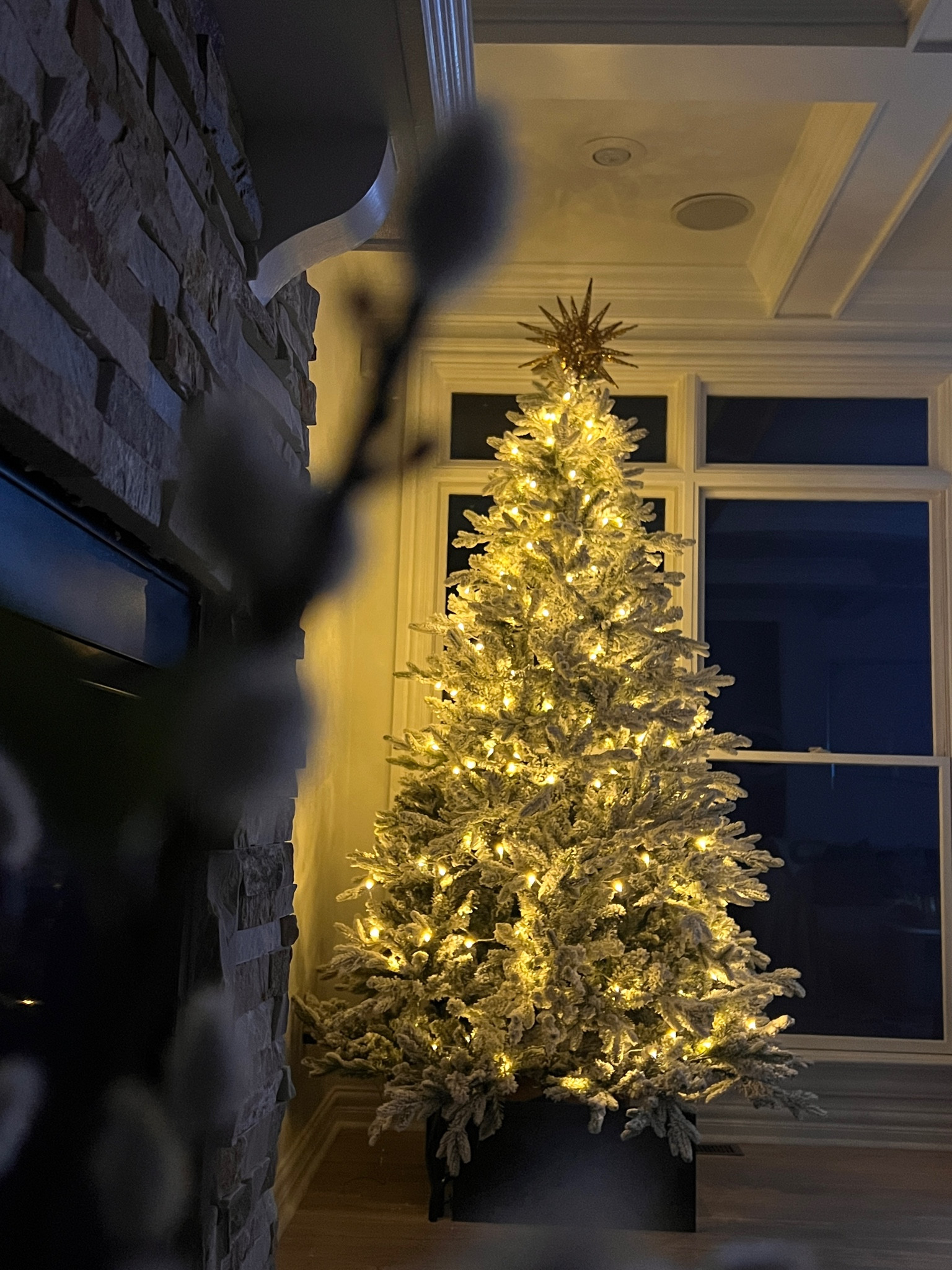 Our newest addition this Christmas! We added a new flocked tree this year, as our center piece of decor. This King of Christmas tree is currently on sale and FAR more stunning in person!! Beautiful both lit and unlit. Size is 7.5"

#LTKhome #LTKHolidaySale #LTKHoliday