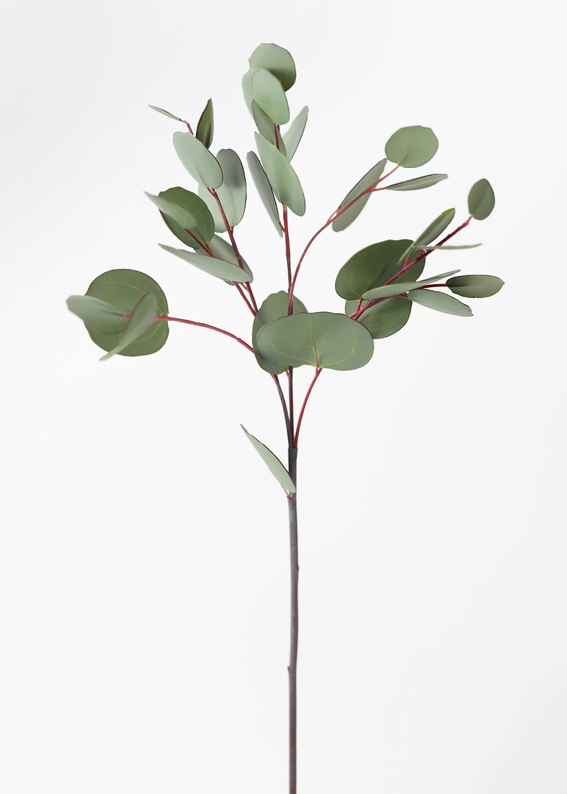 Silver Dollar Eucalyptus Fake Leaves Stem - 26.5" | Afloral (US)