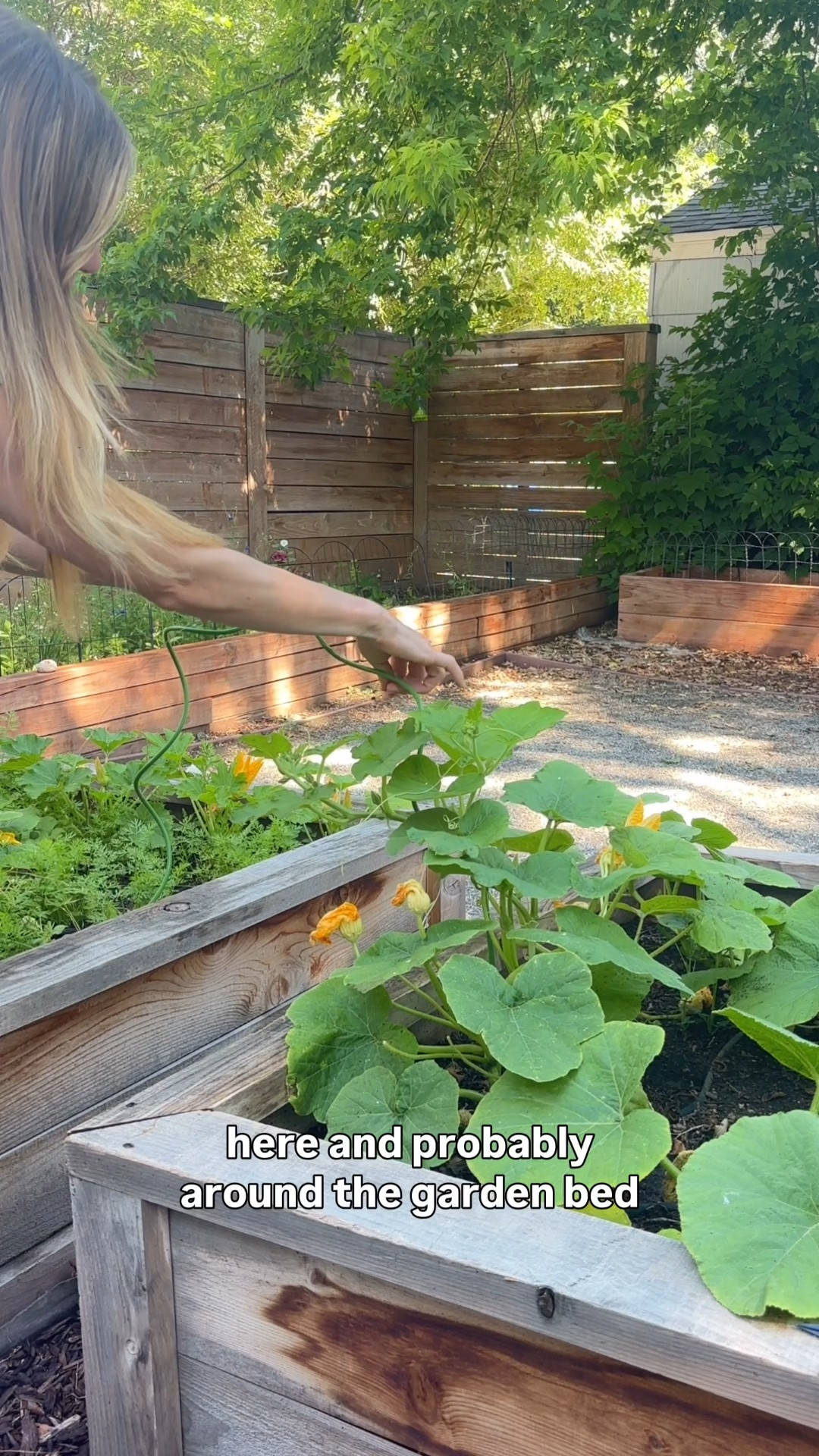 Let’s make gardening more magical!

#LTKdayinmylife #LTKmomlife #LTKHome