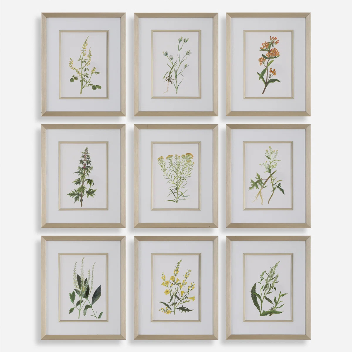 Botanical Flowers Framed Prints, S/9 | Wayfair North America