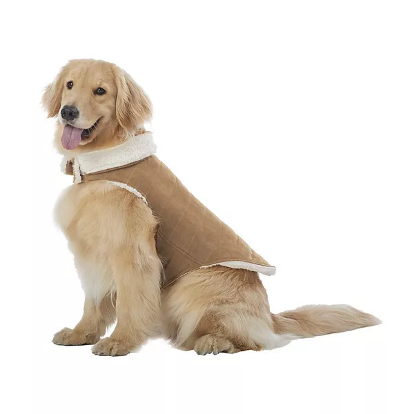 Koolaburra by UGG Lorena Pet Sweater | Kohl's