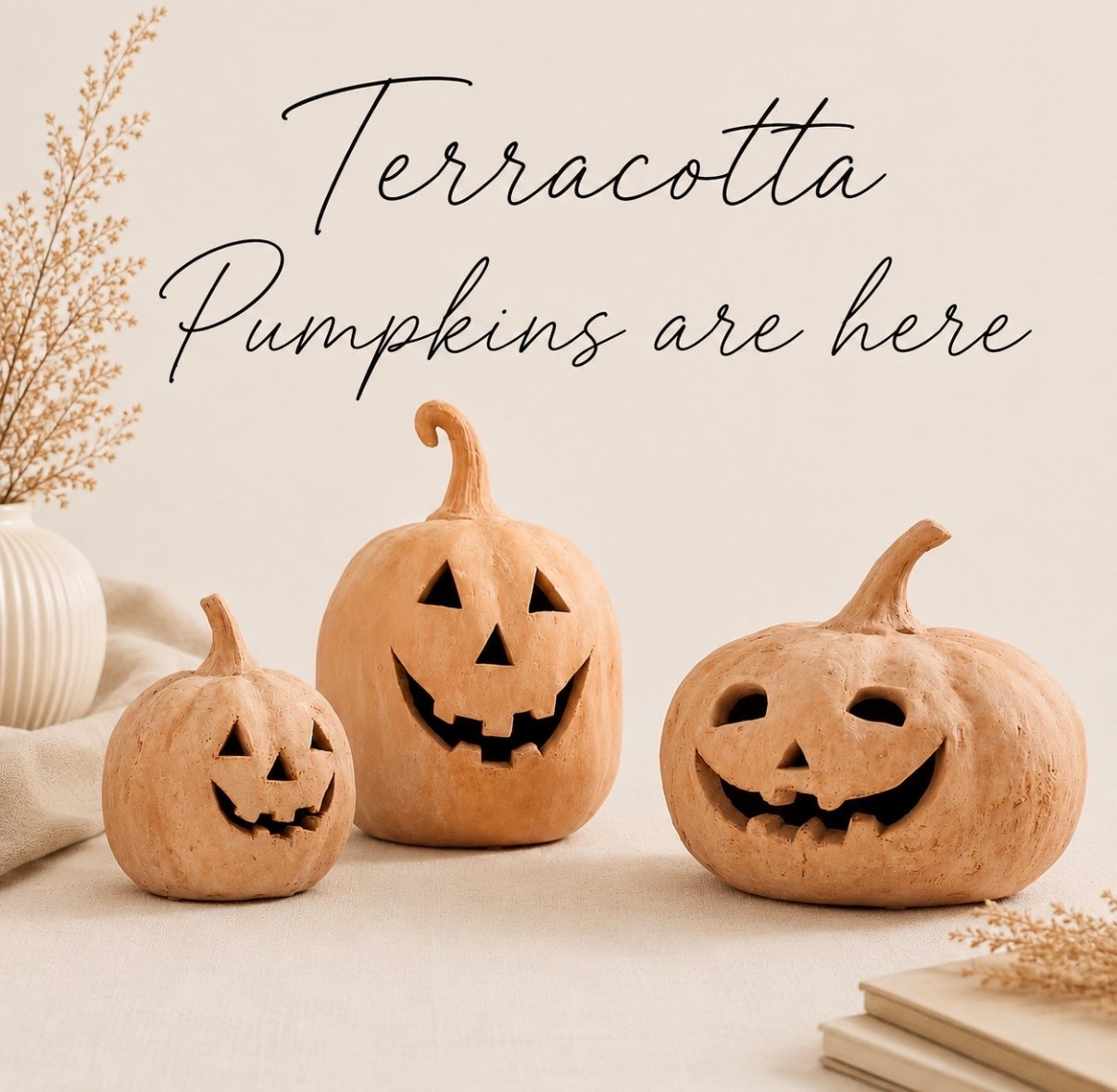 🚨 Terracotta Pumpkins are fully restocked and shipping again! 🎃🤎

One of the most popular fall decor finds is back with all 4 colors and all 6 sizes currently in stock.

✨ 4 color options
✨ 6 size options
✨ Shipping now
✨ Perfect for mixing and matching
✨ Fall favorites are finally back

These tend to sell out every year once fall shopping starts, especially the smaller sizes. If you’ve been waiting for them to return, now is probably the best time to grab your favorites while every size and color is still available.

Add to cart while they’re fully stocked! 🍂

#LTKHome #LTKSeasonal