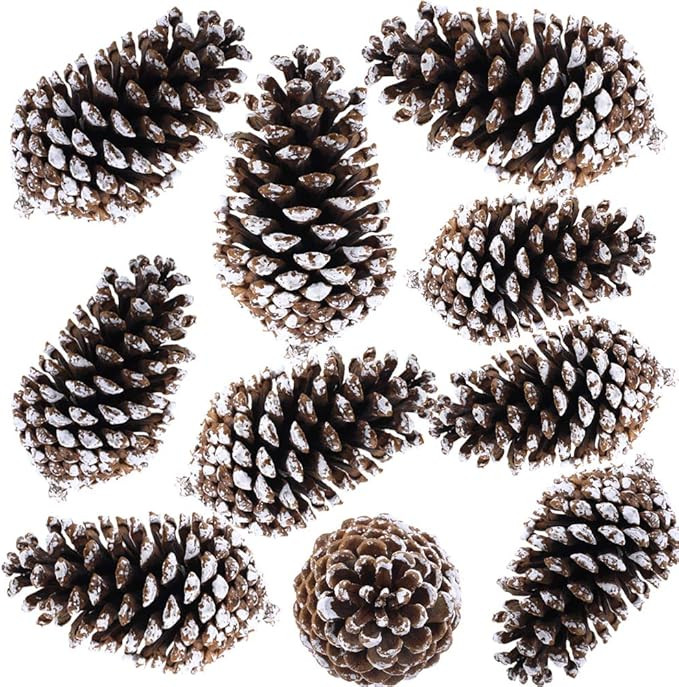 Supla 10 PCS Natural Pinecones Medium Frosted Pine Cones Ornaments Real Preserved Pine Cones - Dr... | Amazon (US)